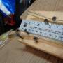 homemade_slack_tube_4_by_hippysmack.jpg