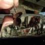 polishing_stainless_13_by_hippysmack.jpg