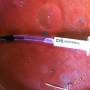 syringe_for_bleeding_brakes_by_loves_curves.jpg